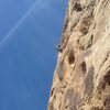 Lance topping out on the FA of the final pitch