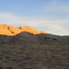 Dawn..herds of cattle on the Reef.Wonder what they eat ,or what they don't eat ?