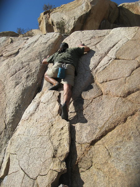 Albert on Island Crack.