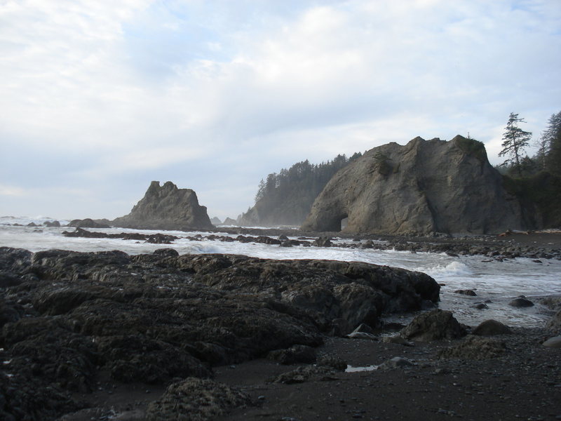 Washington coast.