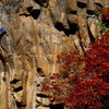 Colin Cox hitting the final jug on the all or nothing redpoint crux of There will be Blood 5.12+, The Waterfall.