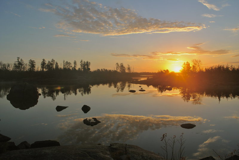 BWCA