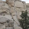 Bambi Meets Godzilla (5.8) Joshua Tree NP, Echo Rock-east face