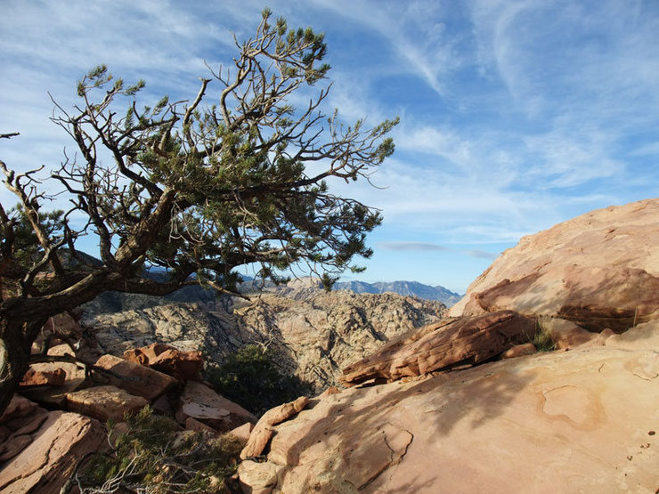 yet another summit shot