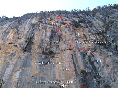 the upper portion of Tears of Gold