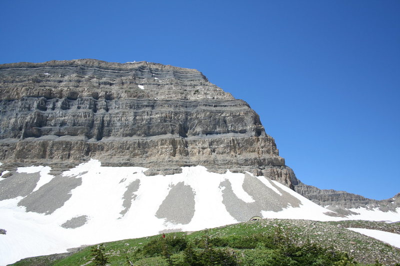 mt timp 