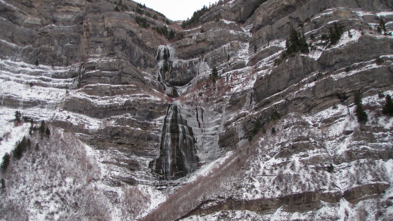 bridal veil