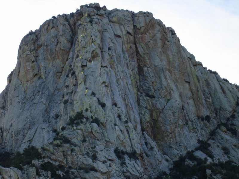 Route in yellow. little fuzzy on belay spot near top in photo.  Choose and scramble rest of way.<br>
--photo by David Tilley--