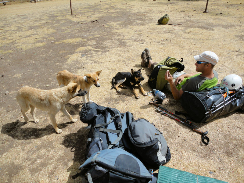 Making new friends in Peru.