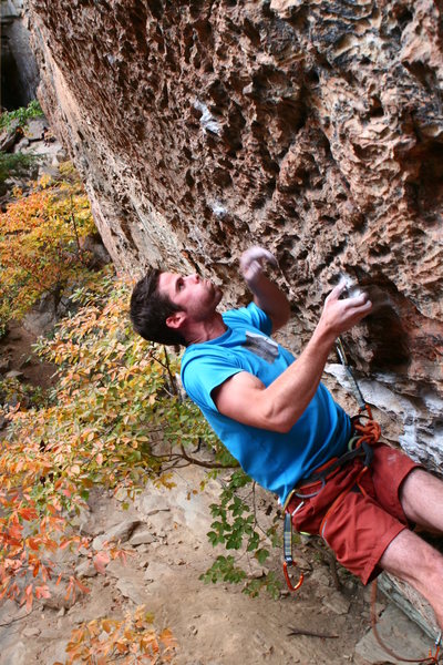 Fred on Wild Gift: sun's out, guns out!