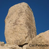 Cat Pinnacle from SW