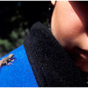 A young climber and one very young Western Fence Lizard, on the trail in to San Ysidro Canyon. 