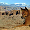 Salsa, View from Longs canyon