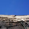 Sunflower on Upper Solar Slab 5.9. Second Pitch.