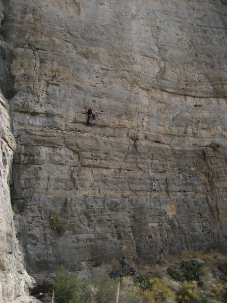 Bob Almond making it look easy