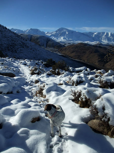 approach trail with Basin Mtn & Mt Tom in the background