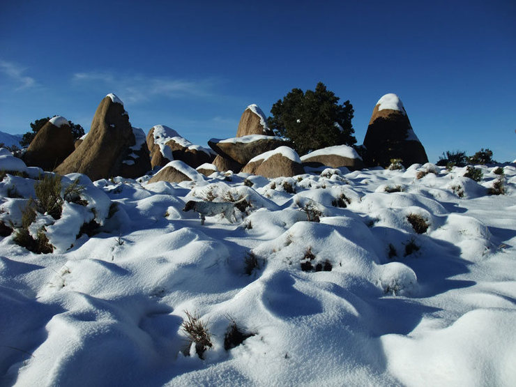 snowy Dec day at the Druids