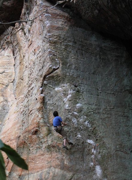 Climber on Too Many Puppies