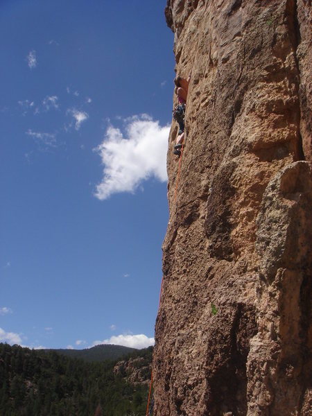 Tracy leading Shelfish.