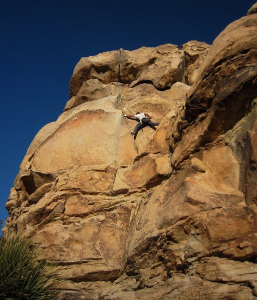 The actual crux of Rollerball is arm and leg-length dependent. Tony Bubb stems and reaches up on second. Photo by Erin Haas, 11/2010.