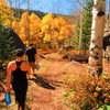 Hiking through the Klettergarden after a quick session. <br>
<br>
Most insane aspen colors ever!!!<br>
<br>
Sept. 19th, 2010.