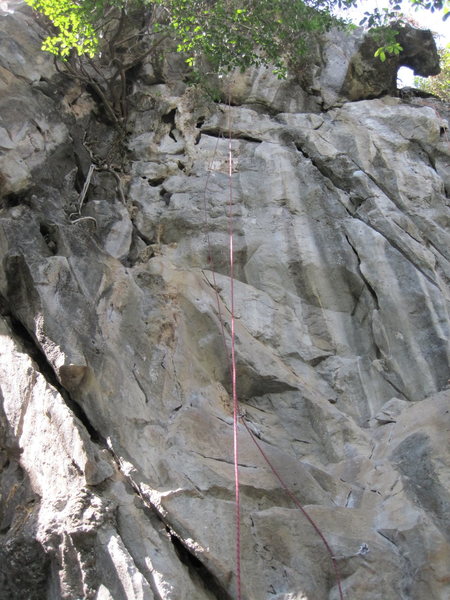 Sage (draws clipped) and Song of Stone (cracks to the right) both very good climbs. 