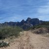 Decided I would walk down the old roadcut a little ways towards Table Mountain today and get some photos for an assignment.  I think it is one of the more aesthetic peaks in the Tucson area!