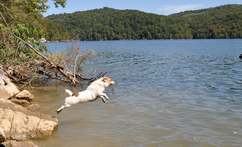 Moe launching into the water at Summersville Lake