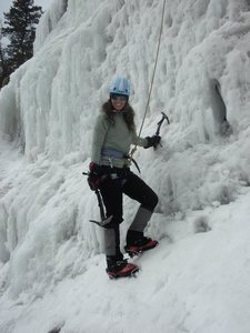 Kerry Ice Climber/All Round Beauty