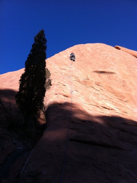 Climbing Coyote Verde.