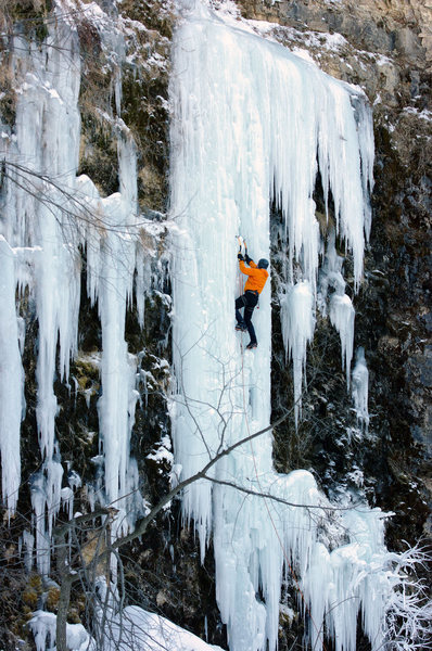 Eagle Eyes. Nate Erickson. Jan 23 2011.