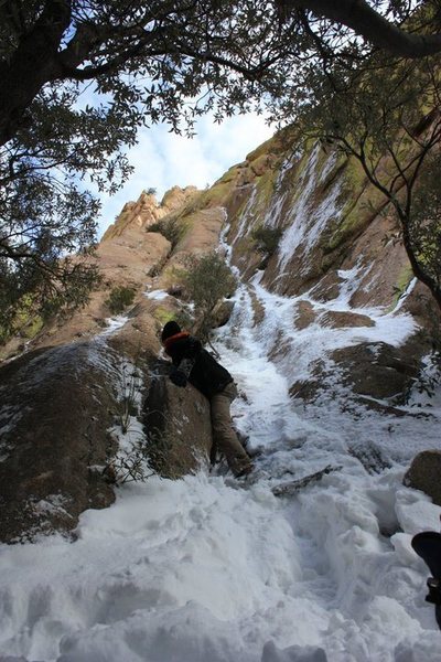 Ewephoria was coated with ice and snow too...