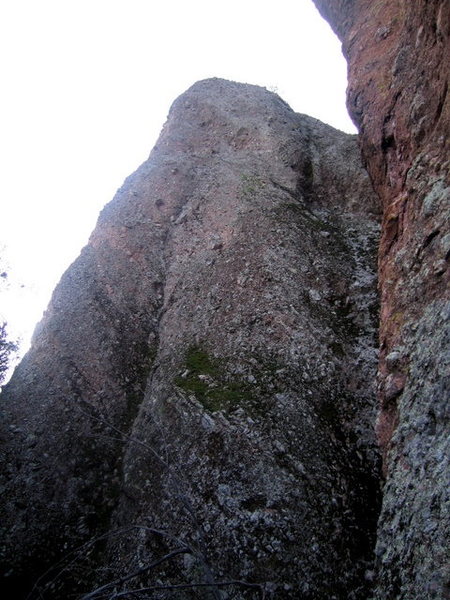 The Fast Lane starts in the mossy area in the bottom left