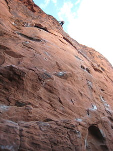 rappelling burros dont gamble