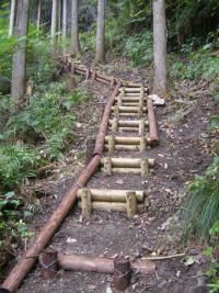 Trail work that was completed in late 2010.