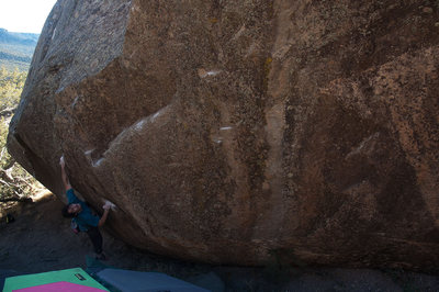 Ronnie J starting up the Fluffy Bunnies
