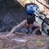 Falon on the crimps. Sit start V5.