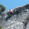 Joe topping out.