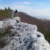 One of many Burkes Garden Cliff bands. Those are the tops to huge trees to the lower right.