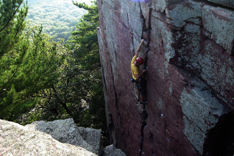 Birch Tree Crack <br>
