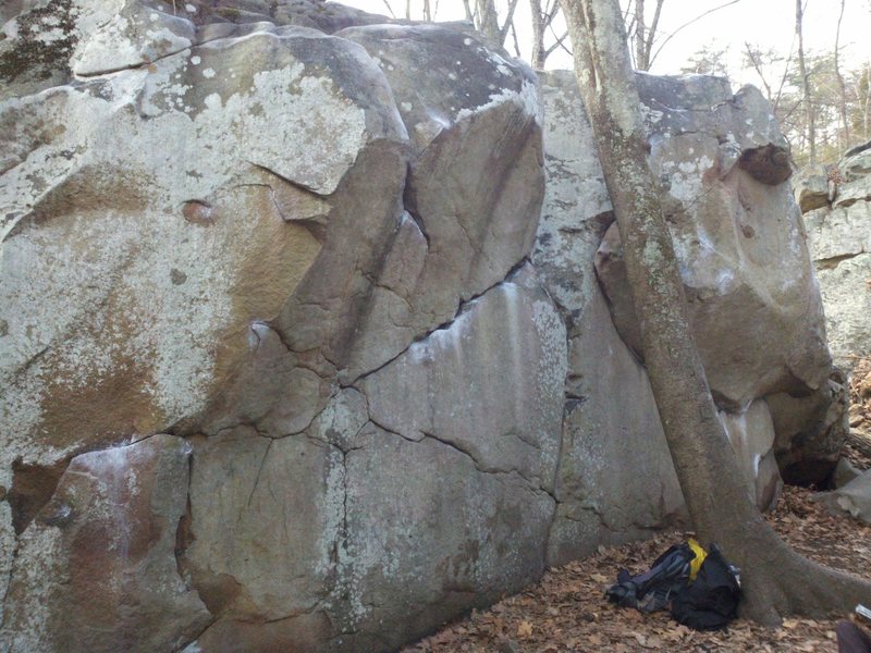 N Face of the Slice & Dice boulder. Farrah's Fawcet starts in the juggy horizontal crack in the dead center of the photo and traverses up and right, behind the tree to finish on jugs.