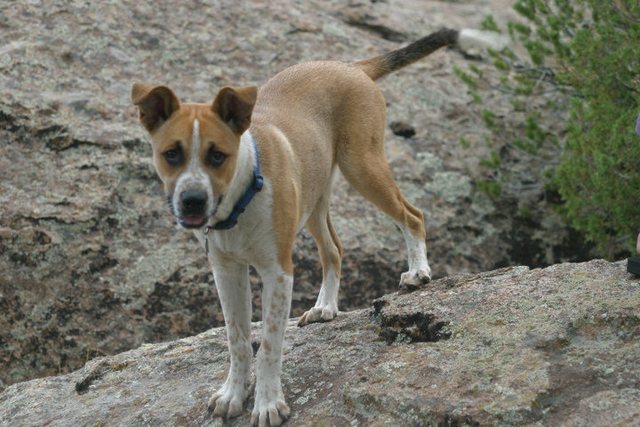 Dudley's first camping and Climbing trip to Penitente