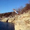 Swimming in the Pedernales River at Reimer's Ranch.