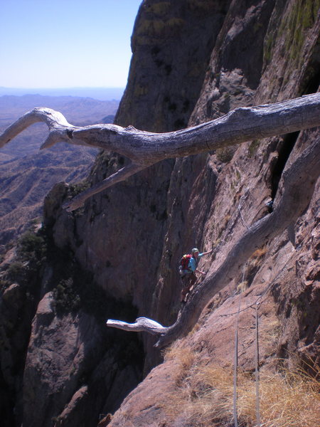 cindy coming up to the dead tree belay ledge atop pitch 5