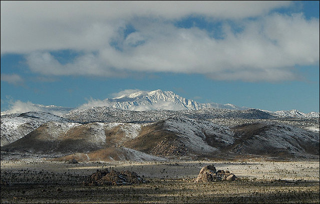 View from Ryan Mountain.<br>
Photo by Blitzo.