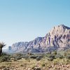 Mount Wilson, Red Rock NV - '04