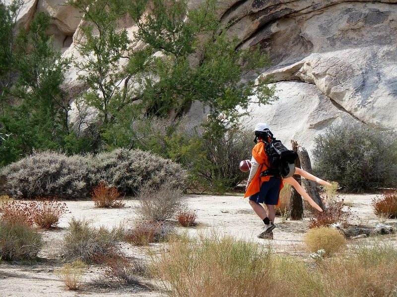 ???, Joshua Tree NP