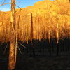 Fading light on Thunder Ridge.