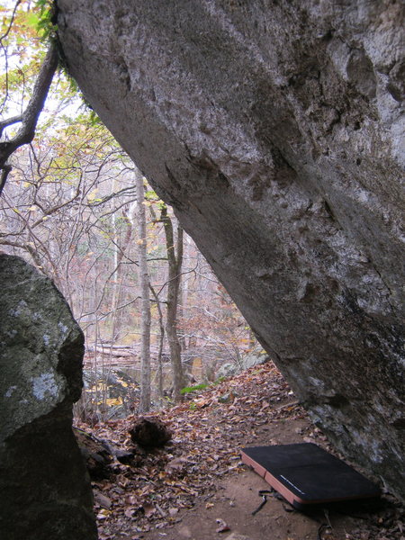 Inside of the Cracked Egg