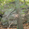 boulder near top